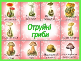 http://img-fotki.yandex.ru/get/5/102699435.539/0_7a63c_86c75433_XL
